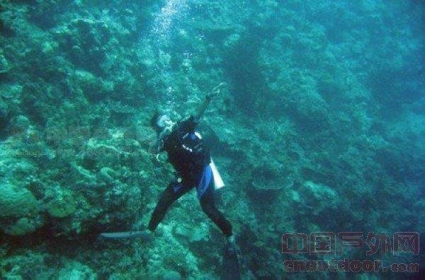 紫云白石岩乡开展2024年春风行动暨就业援助月宣传活动